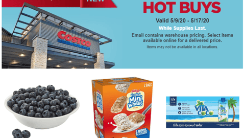 Costco 'In-Warehouse Hot Buys' Email